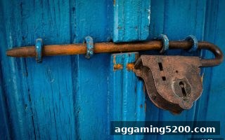 欧赔解读：马耳他牌照如何为捕鱼游戏安全护航？