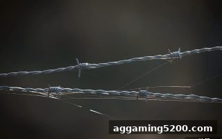 欧赔视角深度拆解：“不出款”现象的成因与应对策略