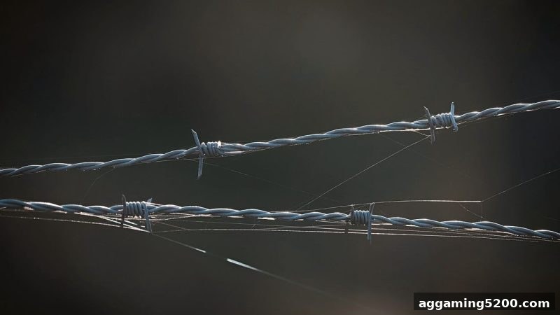 欧赔视角深度拆解：“不出款”现象的成因与应对策略
